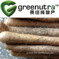 Common Yam Extract Powder